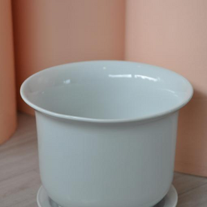 Pflanzentopf mit Untersetzer 13.jpg